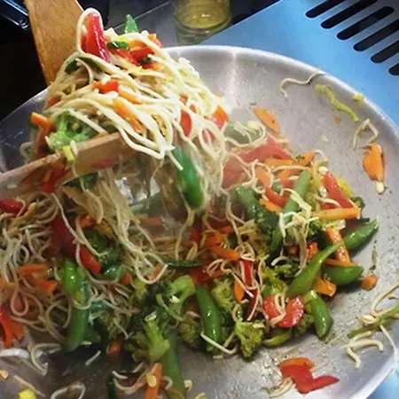 斯坦伯格阿维侬私人酒店 佩格尼茨河畔勒滕巴赫